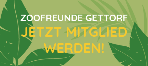 Zoofreunde_Mitglied_werden_phone